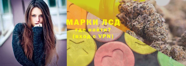 СК Абинск