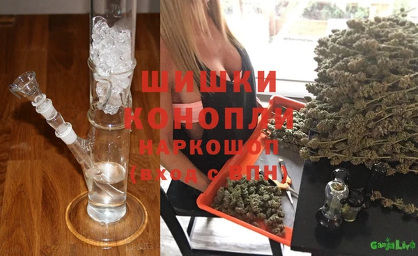 СК Абинск