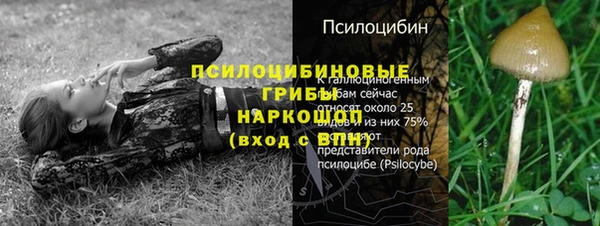 СК Абинск