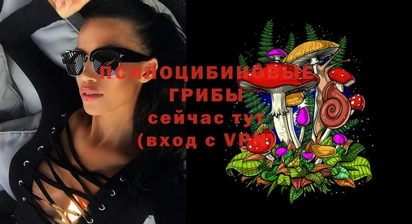 эйфоретик Абаза