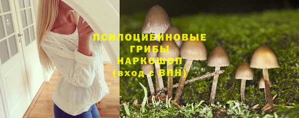 СК Абинск